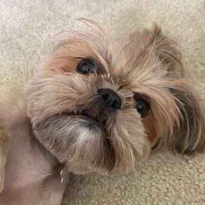 Meet your Posher, Tuan